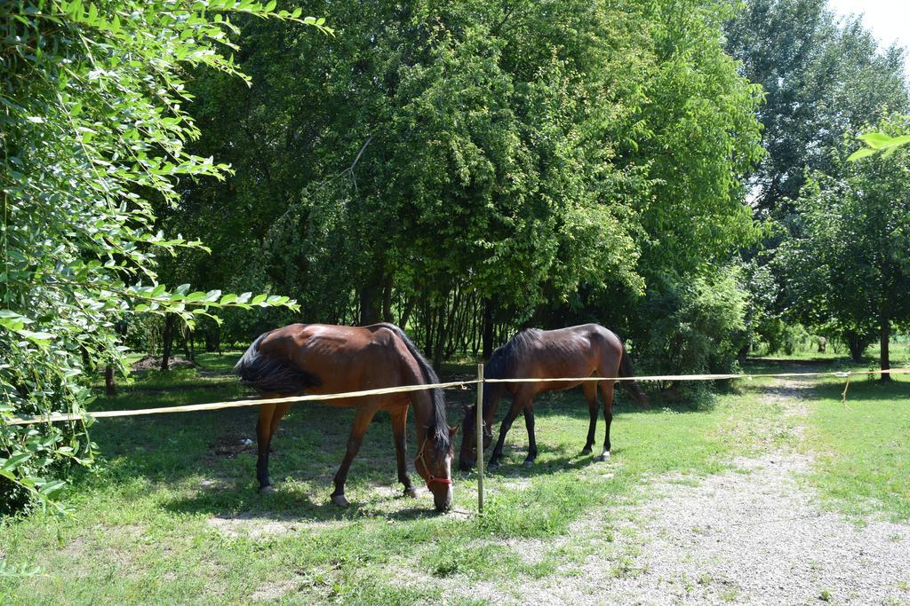 Agriturismo Tre Rondini Legnago Kültér fotó